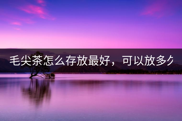 毛尖茶怎么存放最好，可以放多久？