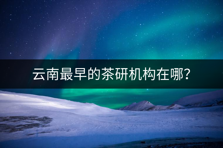 云南最早的茶研機構在哪？