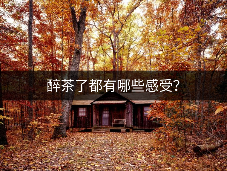 醉茶了都有哪些感受？