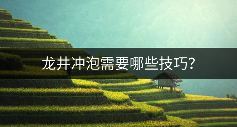 龍井沖泡需要哪些技巧？