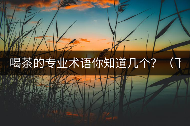 喝茶的專業(yè)術(shù)語你知道幾個(gè)？（下篇）