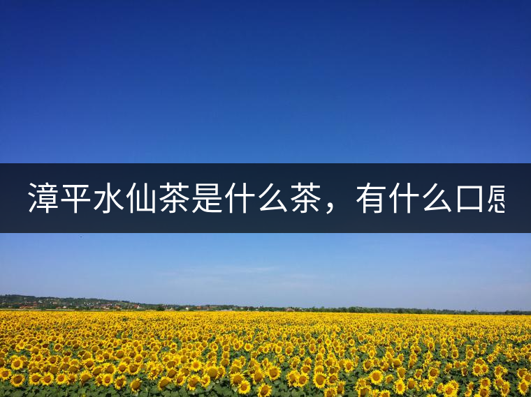 漳平水仙茶是什么茶，有什么口感特點(diǎn)！