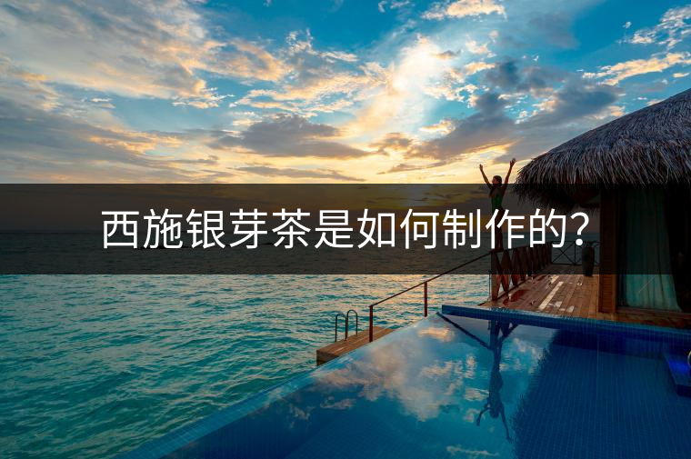 西施銀芽茶是如何制作的？