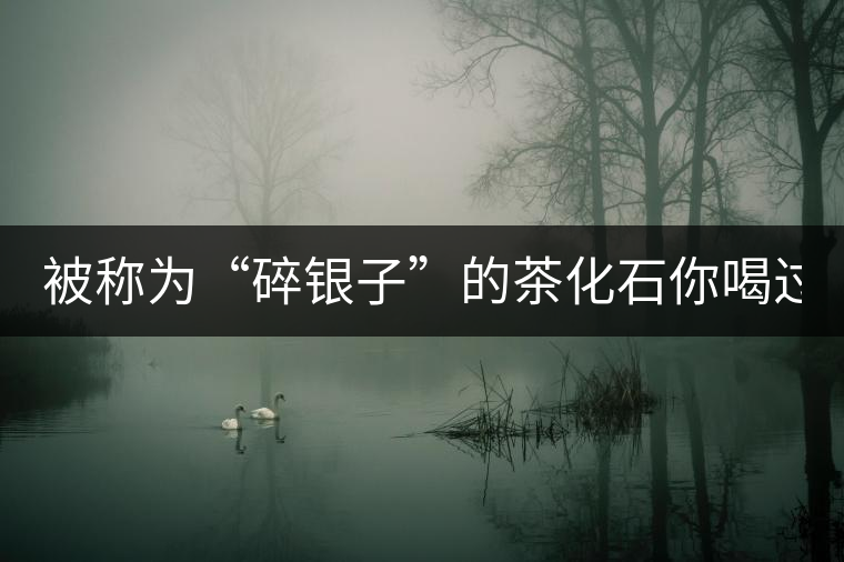 被稱為“碎銀子”的茶化石你喝過(guò)嗎？