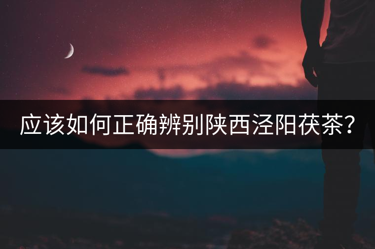 應該如何正確辨別陜西涇陽茯茶？