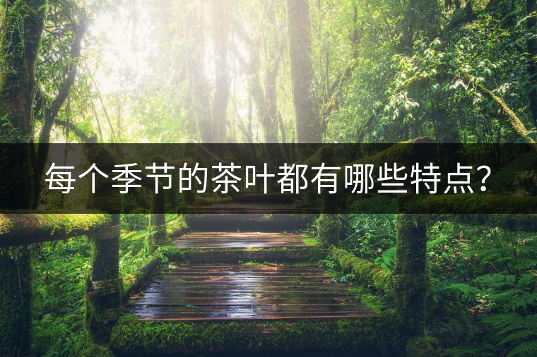 每個季節(jié)的茶葉都有哪些特點？