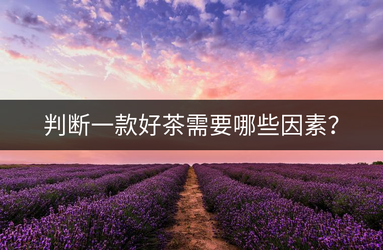 判斷一款好茶需要哪些因素？
