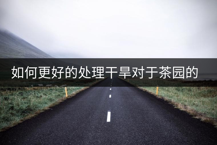 如何更好的處理干旱對(duì)于茶園的影響？