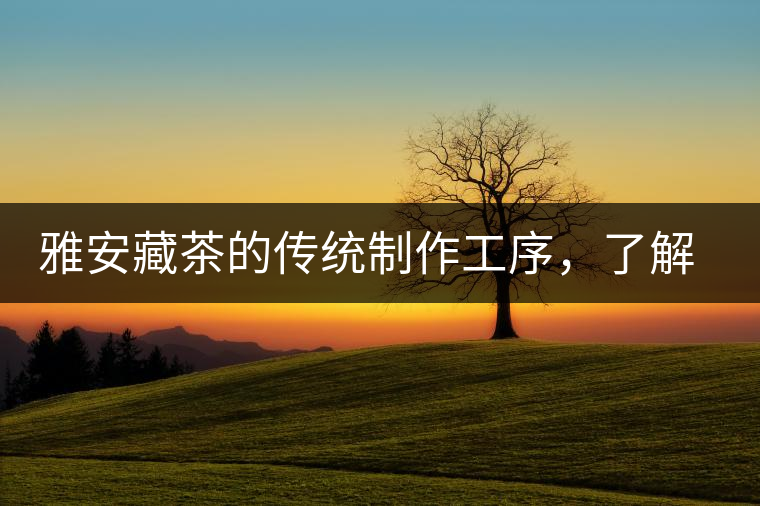 雅安藏茶的傳統(tǒng)制作工序，了解了傳統(tǒng)技藝才能更好的了解茶品！