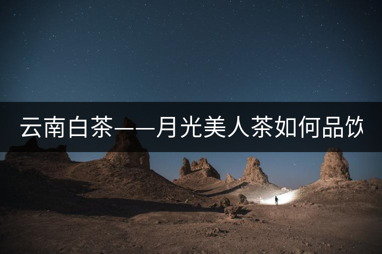 云南白茶——月光美人茶如何品飲？