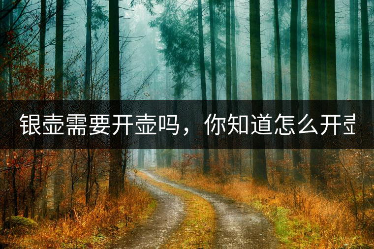 銀壺需要開壺嗎，你知道怎么開壺？