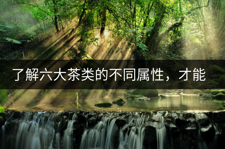 了解六大茶類的不同屬性，才能更好的選擇品飲！