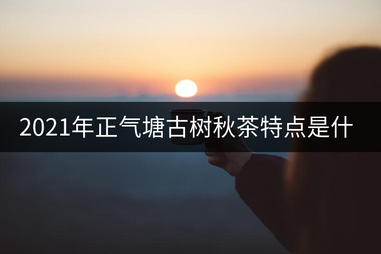2021年正氣塘古樹秋茶特點(diǎn)是什么？