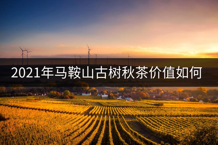 2021年馬鞍山古樹秋茶價值如何？
