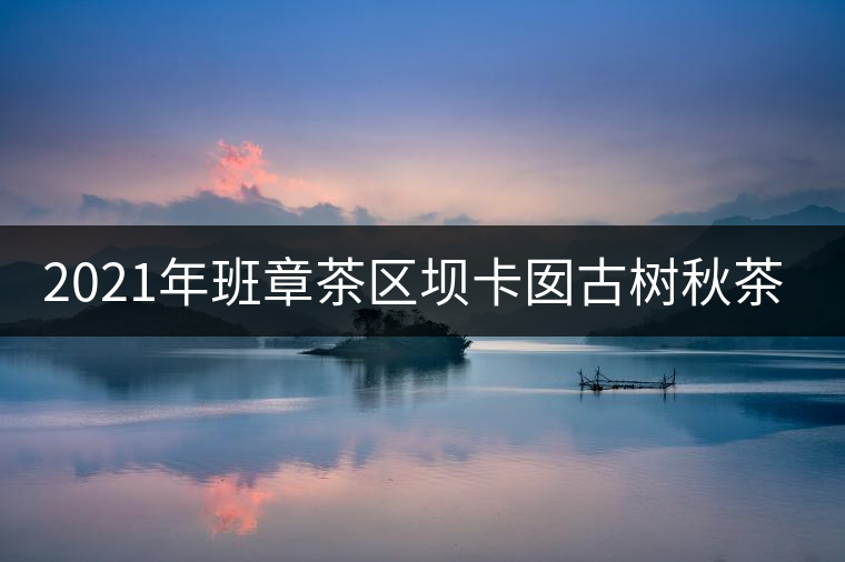 2021年班章茶區(qū)壩卡囡古樹秋茶口感？