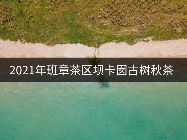 2021年班章茶區(qū)壩卡囡古樹(shù)秋茶多少錢(qián)一公斤？