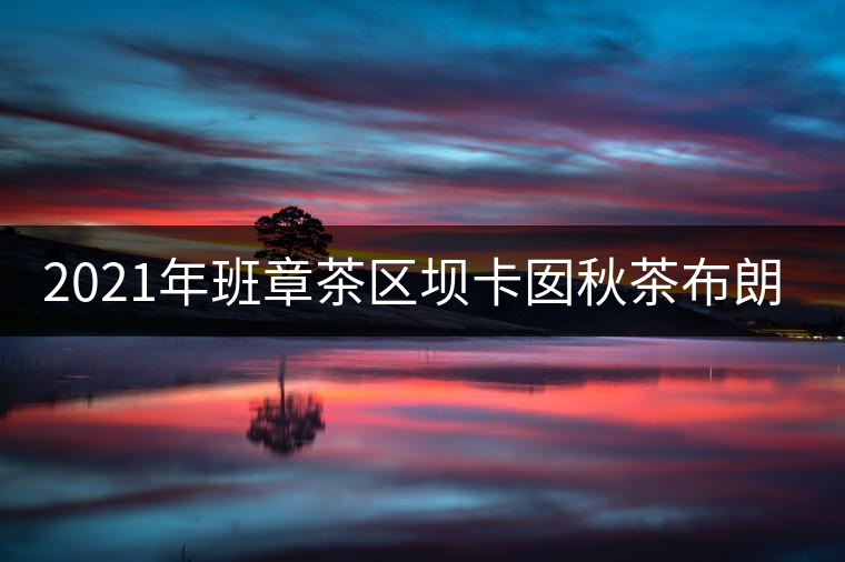 2021年班章茶區(qū)壩卡囡秋茶布朗茶系中的甜茶類(lèi)！