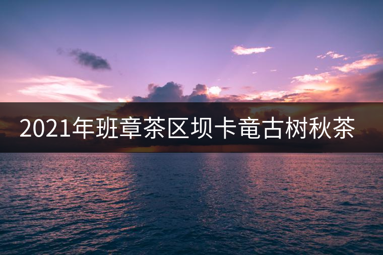 2021年班章茶區(qū)壩卡竜古樹秋茶多少錢一公斤？