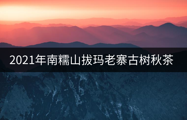 2021年南糯山拔瑪老寨古樹秋茶價格？