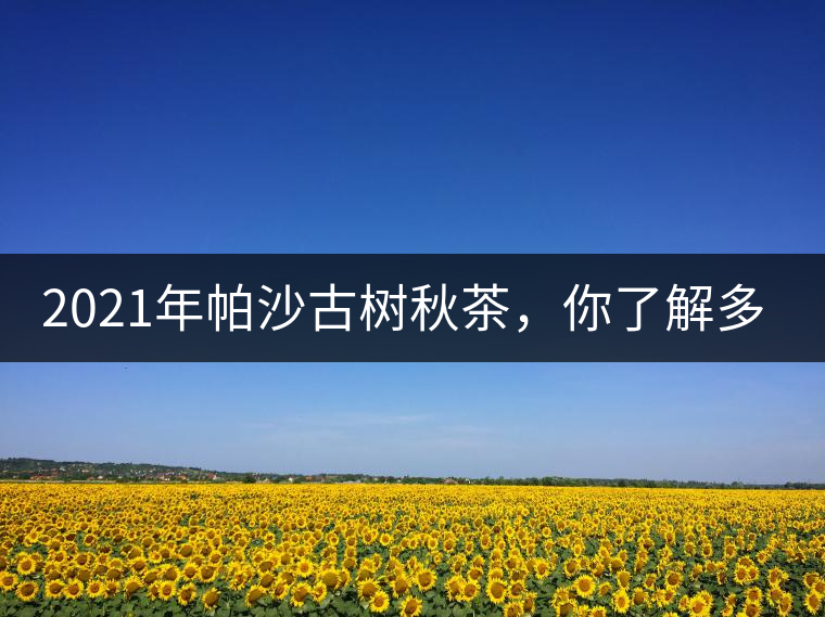 2021年帕沙古樹(shù)秋茶，你了解多少？