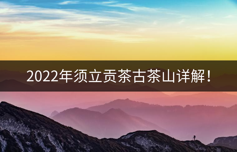 2022年須立貢茶古茶山詳解！