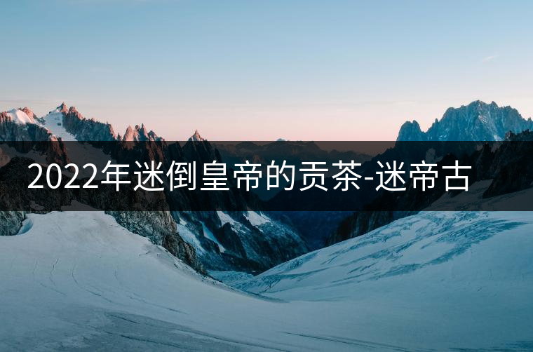 2022年迷倒皇帝的貢茶-迷帝古樹春茶特點？