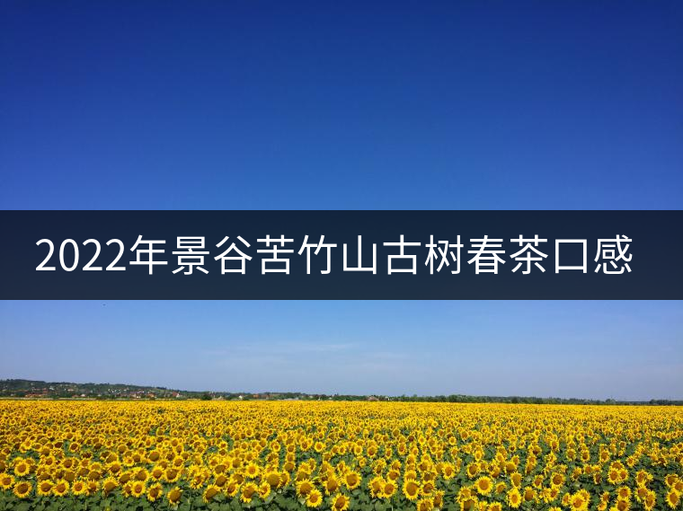 2022年景谷苦竹山古樹(shù)春茶口感？