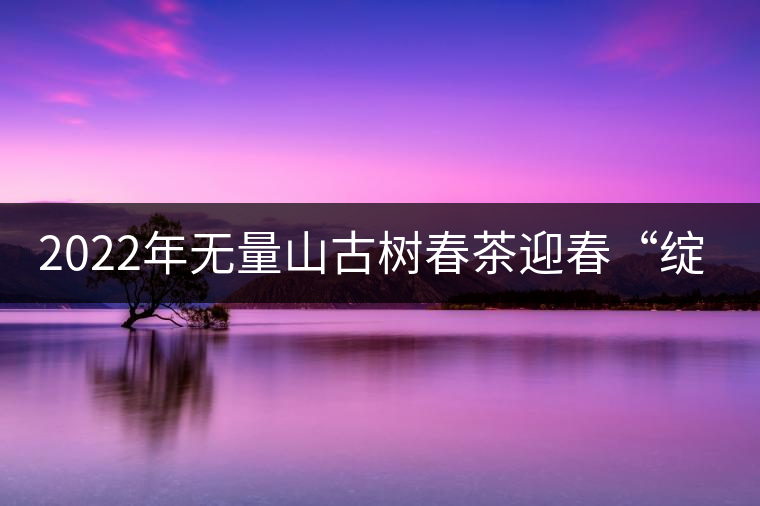2022年無量山古樹春茶迎春“綻放”！