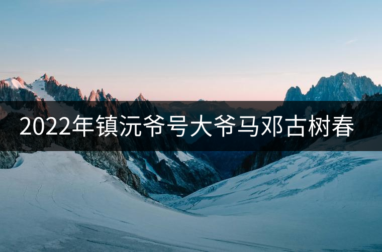 2022年鎮(zhèn)沅爺號大爺馬鄧古樹春茶特點？