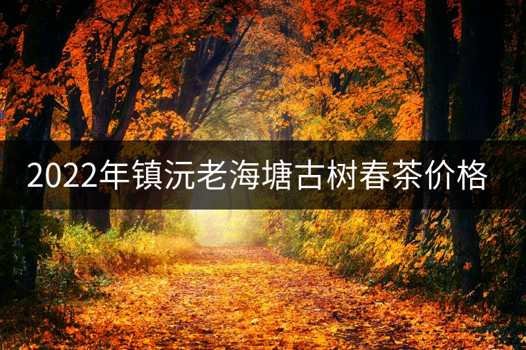 2022年鎮(zhèn)沅老海塘古樹春茶價(jià)格？