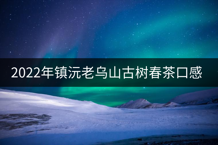 2022年鎮(zhèn)沅老烏山古樹(shù)春茶口感？