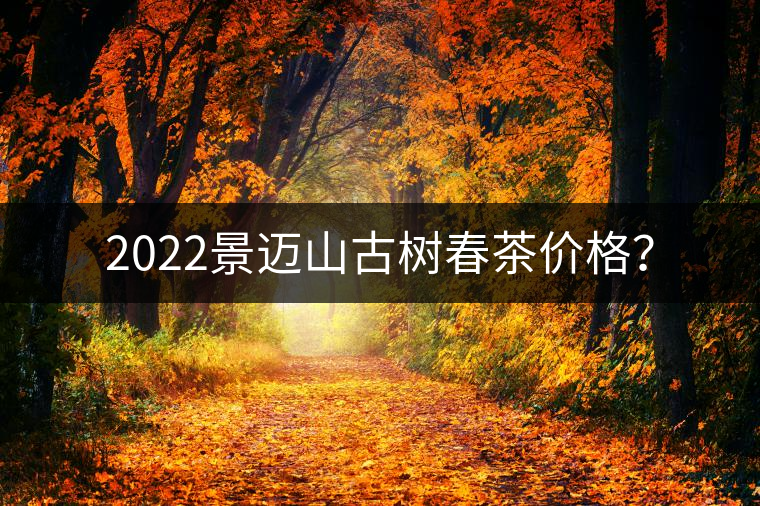 2022景邁山古樹春茶價(jià)格？