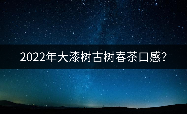 2022年大漆樹古樹春茶口感？