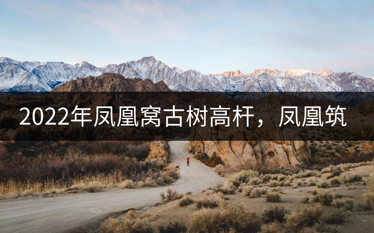 2022年鳳凰窩古樹(shù)高桿，鳳凰筑巢的地方