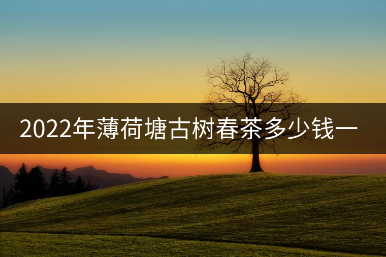 2022年薄荷塘古樹(shù)春茶多少錢(qián)一公斤？
