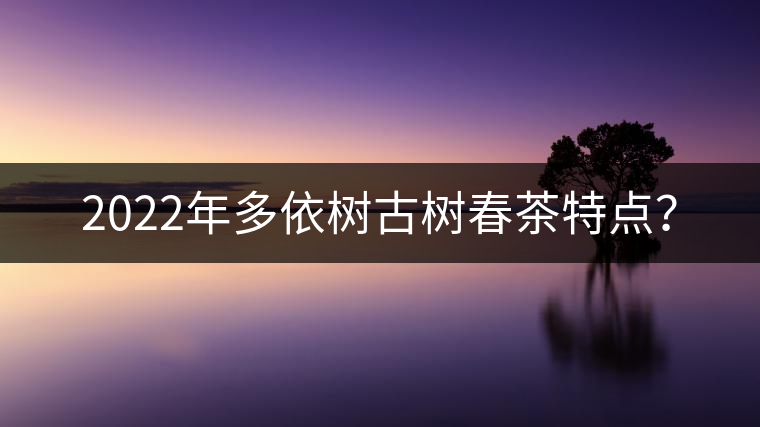 2022年多依樹古樹春茶特點(diǎn)？