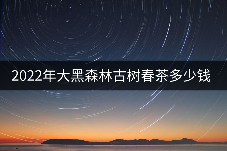 2022年大黑森林古樹(shù)春茶多少錢(qián)一公斤？