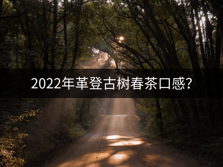 2022年革登古樹春茶口感？