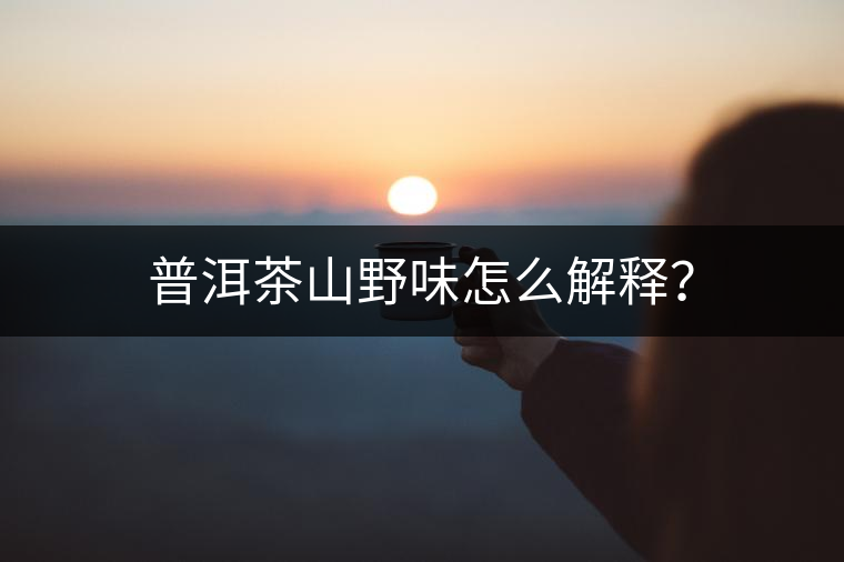 普洱茶山野味怎么解釋？