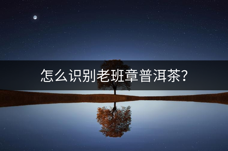 怎么識別老班章普洱茶？