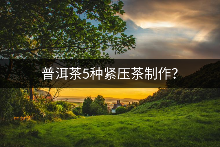 普洱茶5種緊壓茶制作？