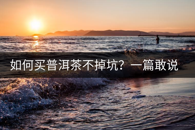 如何買普洱茶不掉坑？一篇敢說真話的良心之作。