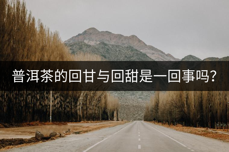 普洱茶的回甘與回甜是一回事嗎？？