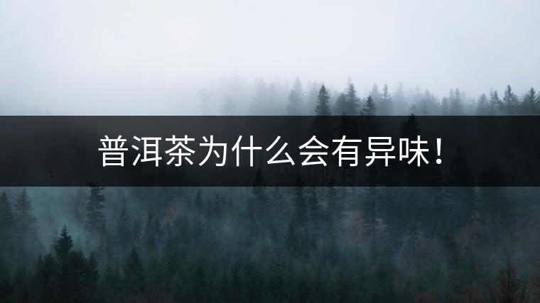 普洱茶為什么會(huì)有異味！