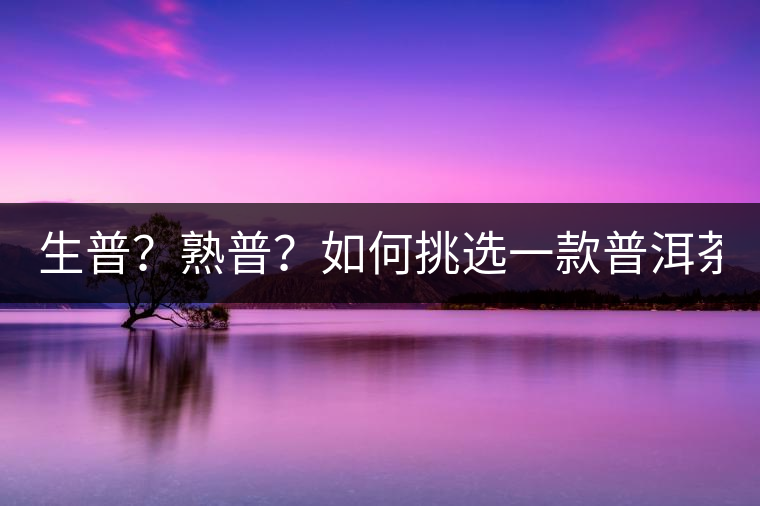 生普？熟普？如何挑選一款普洱茶？