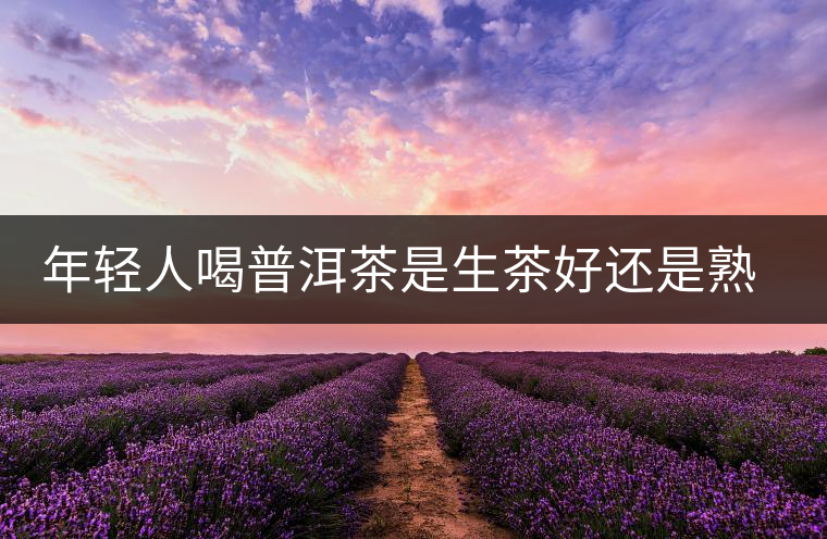 年輕人喝普洱茶是生茶好還是熟茶好？該怎么選擇？
