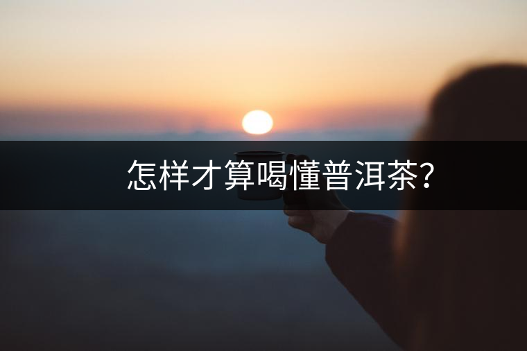 　怎樣才算喝懂普洱茶？