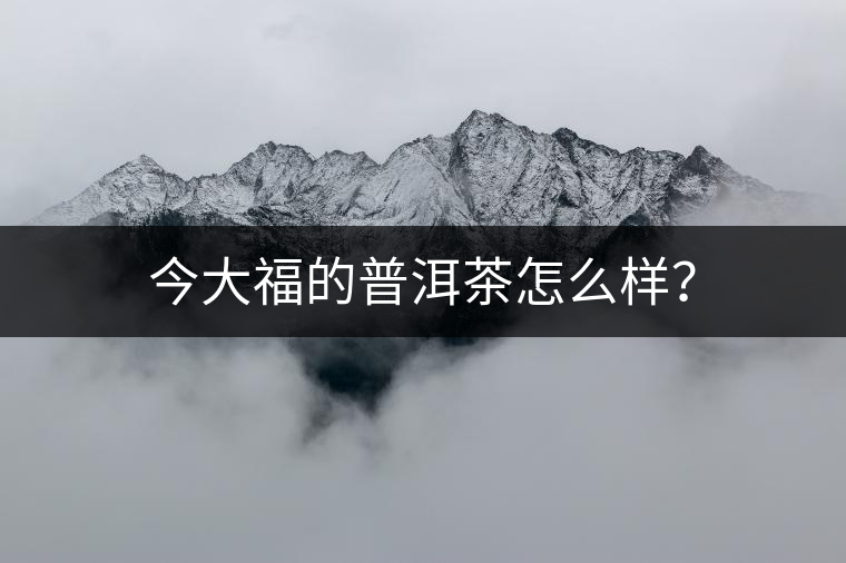 今大福的普洱茶怎么樣？