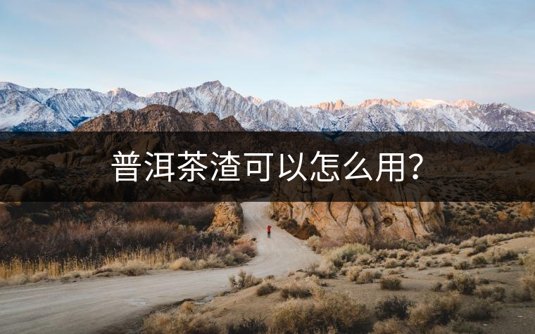 普洱茶渣可以怎么用？