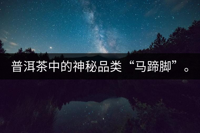 普洱茶中的神秘品類“馬蹄腳”。